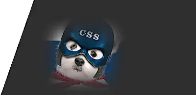 Buster-CSS-housebuilders-intruder-alarms