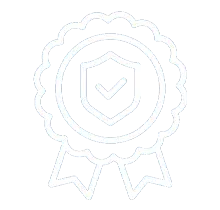 our business values