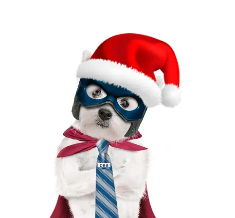 Buster-CSS-Superdog in santa hat