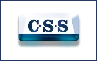 css logo