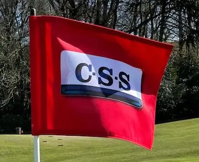 CSS logo on red flag waving on green