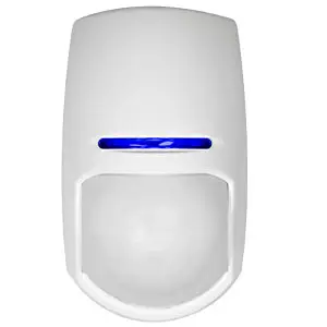movement dual detector from CSS