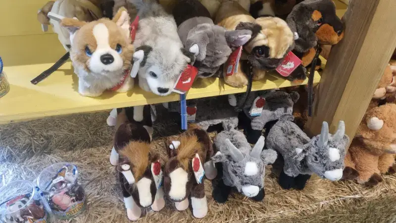 Stuffed toys with Sensormatic tags on shelves in gift shop - Heads of Ayr Farm Park Sensormatic installation
