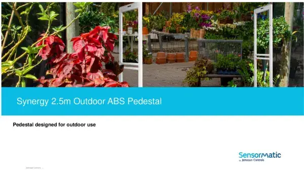 sensormatic outdoor pedestal document preview
