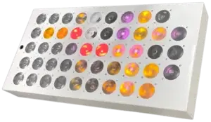 css ciqurix Flame simulator