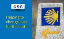CSS logo beside milestone